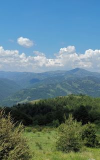 Čudinska planina