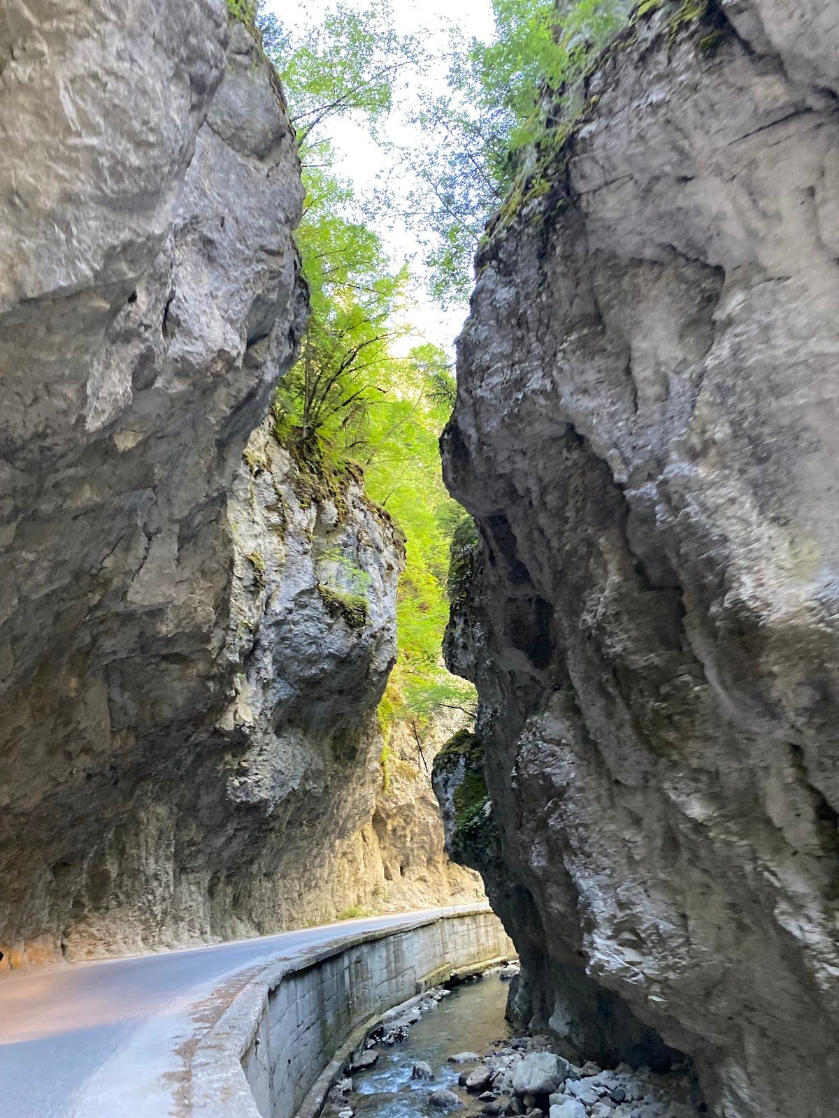 Buynovo River gorge