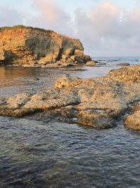 Island Ambelits
