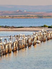 Lake Pomorie