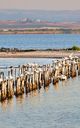 Lake Pomorie