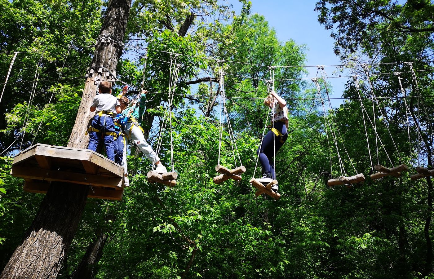 Lauta Rope Park – photo 1