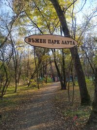 Lauta Rope Park