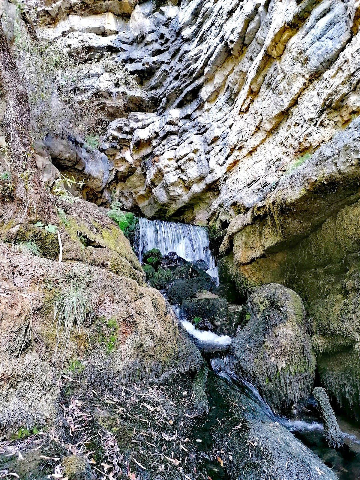 Karst spring "Jitolyub"