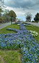 Sea Garden of Tsarevo