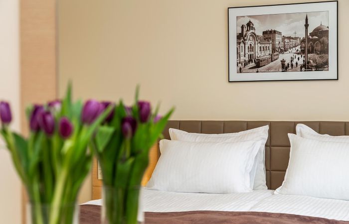 Hotel Sofia Palace – photo 5