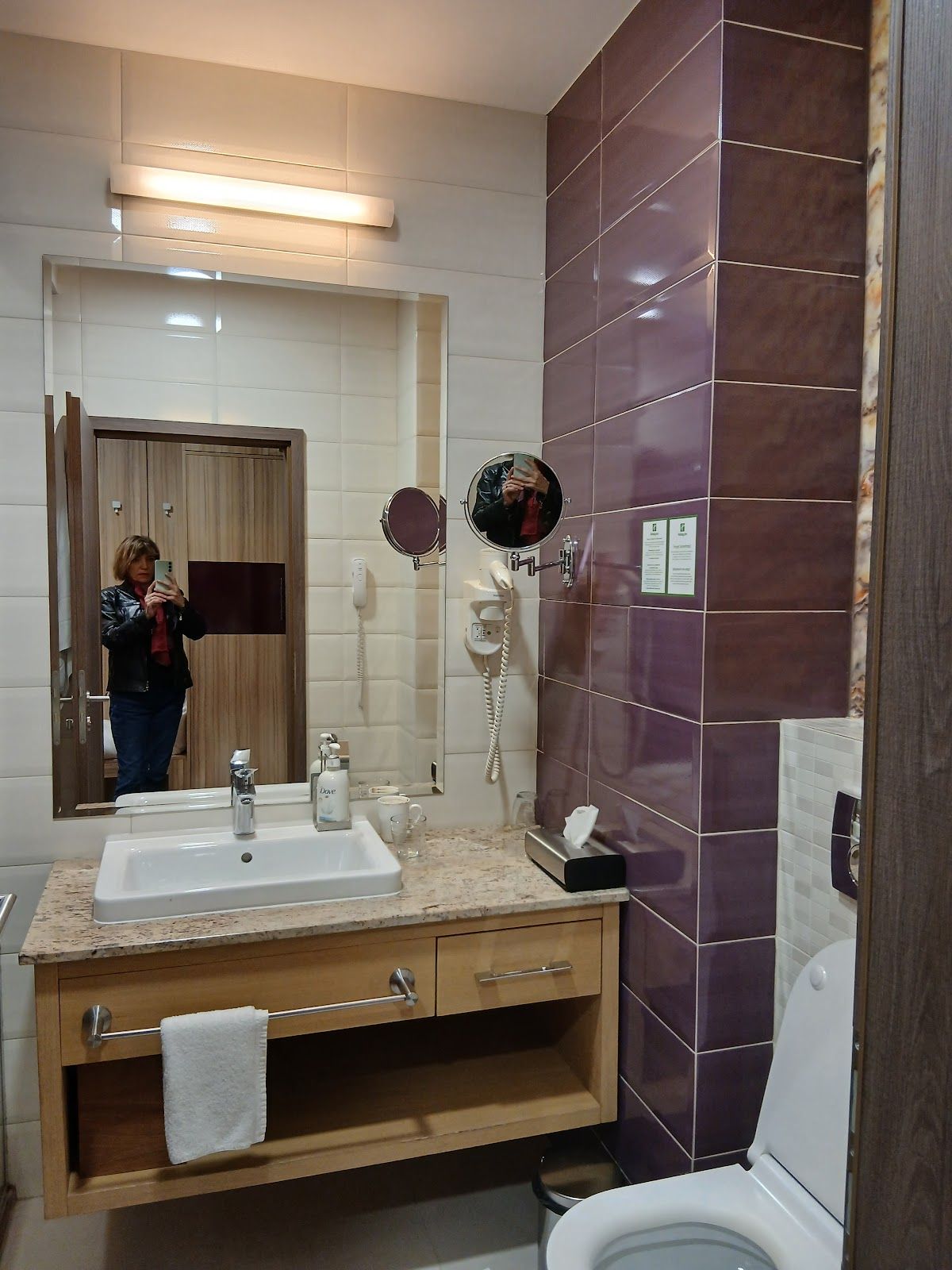 Holiday Inn Plovdiv – снимка 3