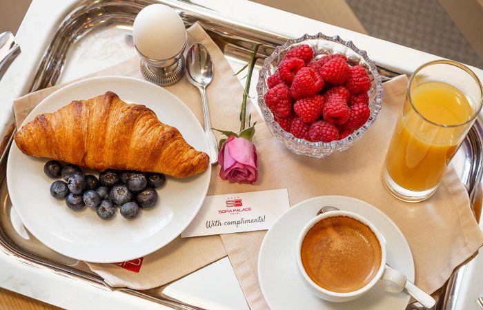 Hotel Sofia Palace – photo 4