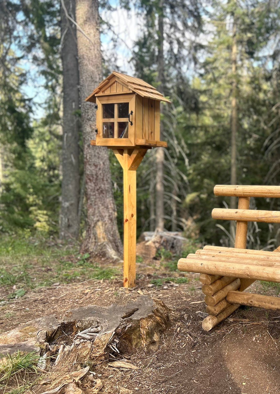 The Family Forest Trail – photo 2