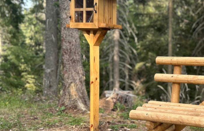 The Family Forest Trail – photo 2