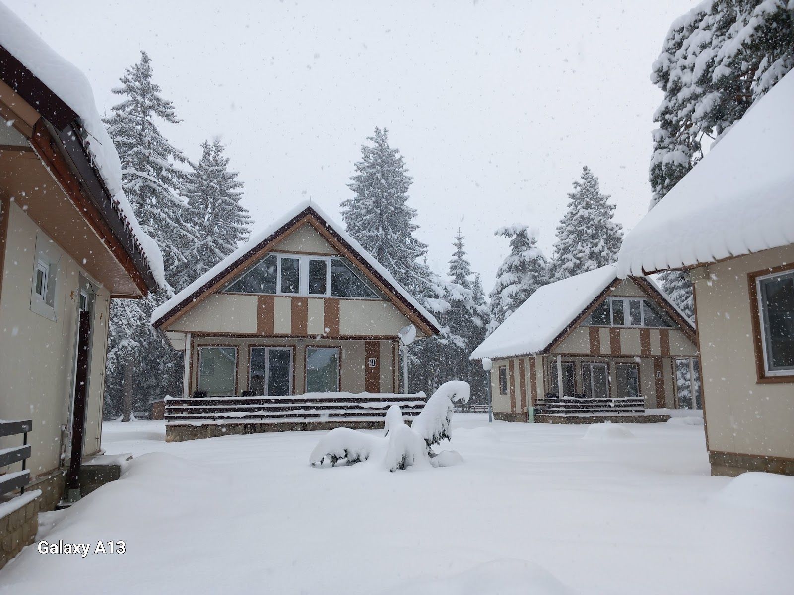 Borovets Base of the National Sports Academy “Vasil Levski” – photo 2