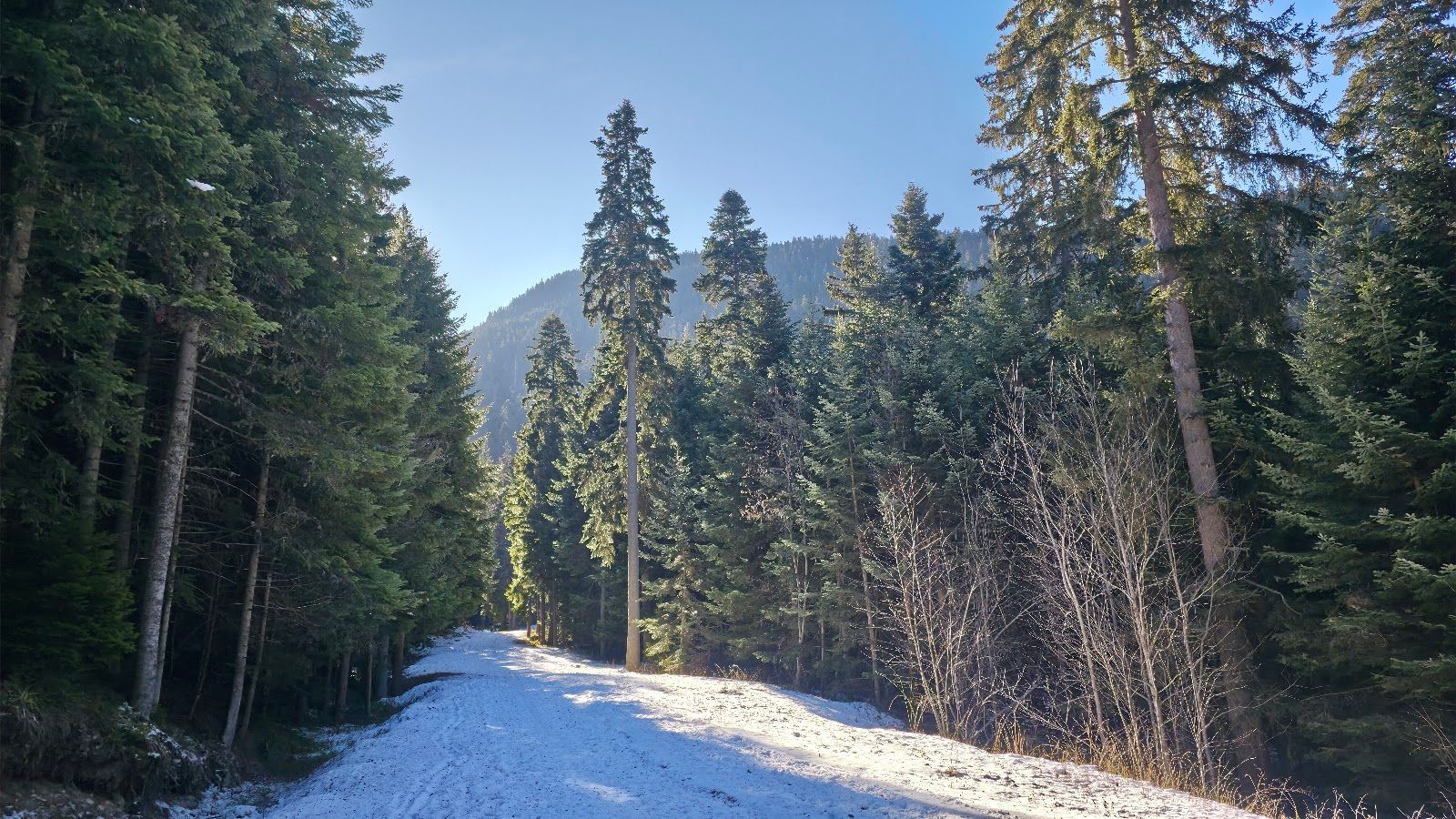 Musala Peak Trailhead – photo 5