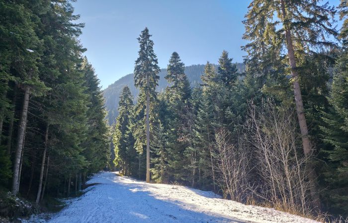 Musala Peak Trailhead – photo 5