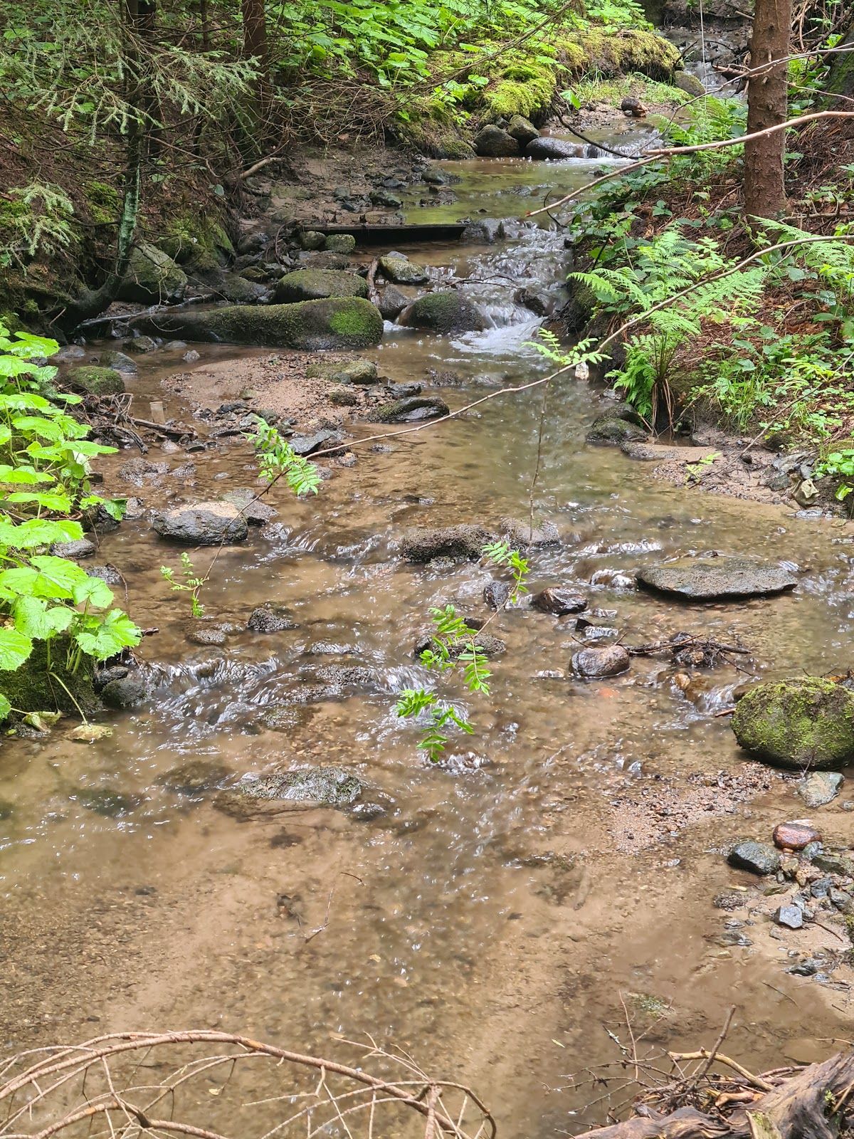 “Pesako” Eco trail