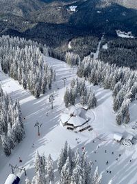 Pamporovo Ski Center