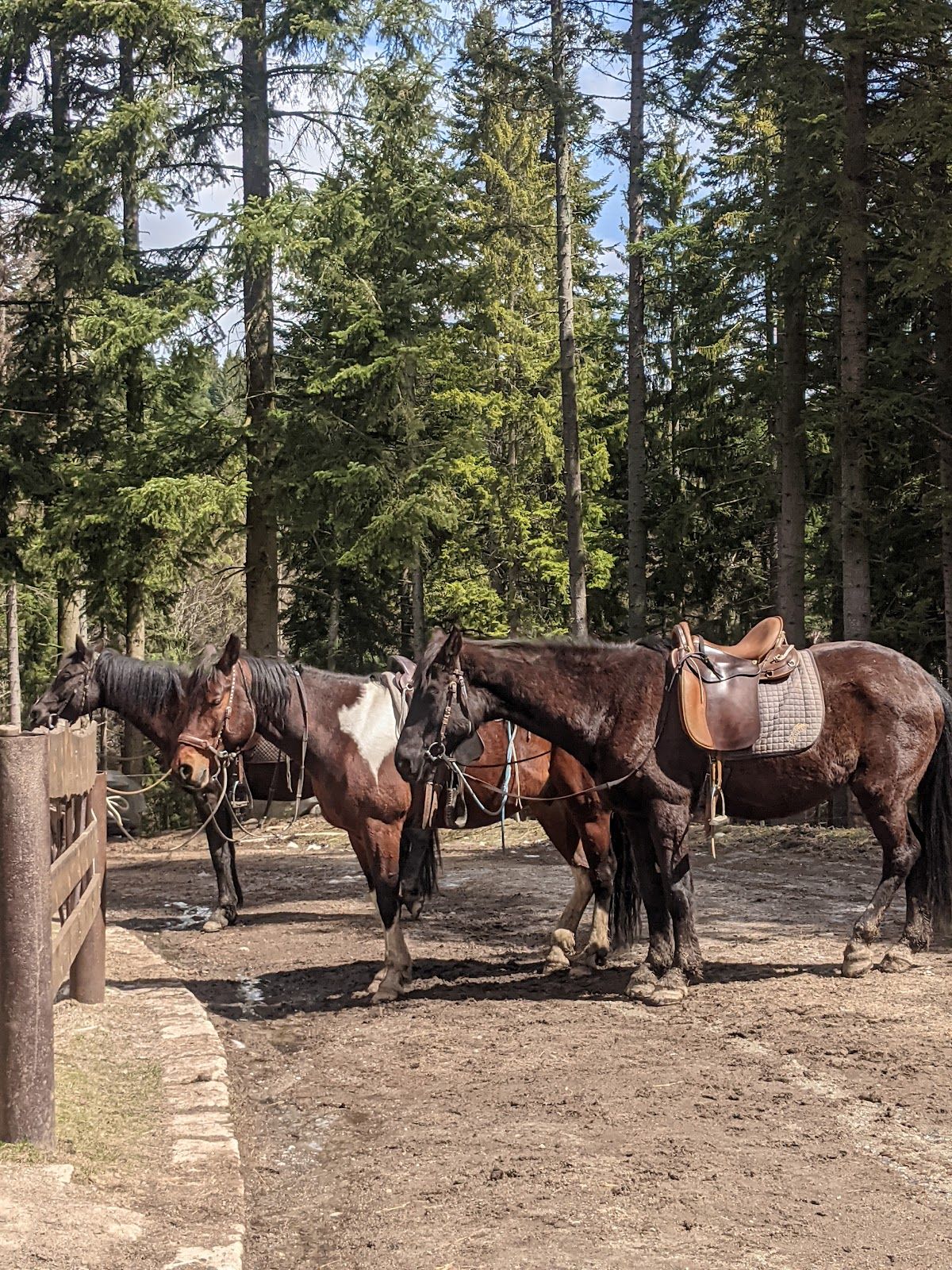 Horse Riding With Butch  – photo 5