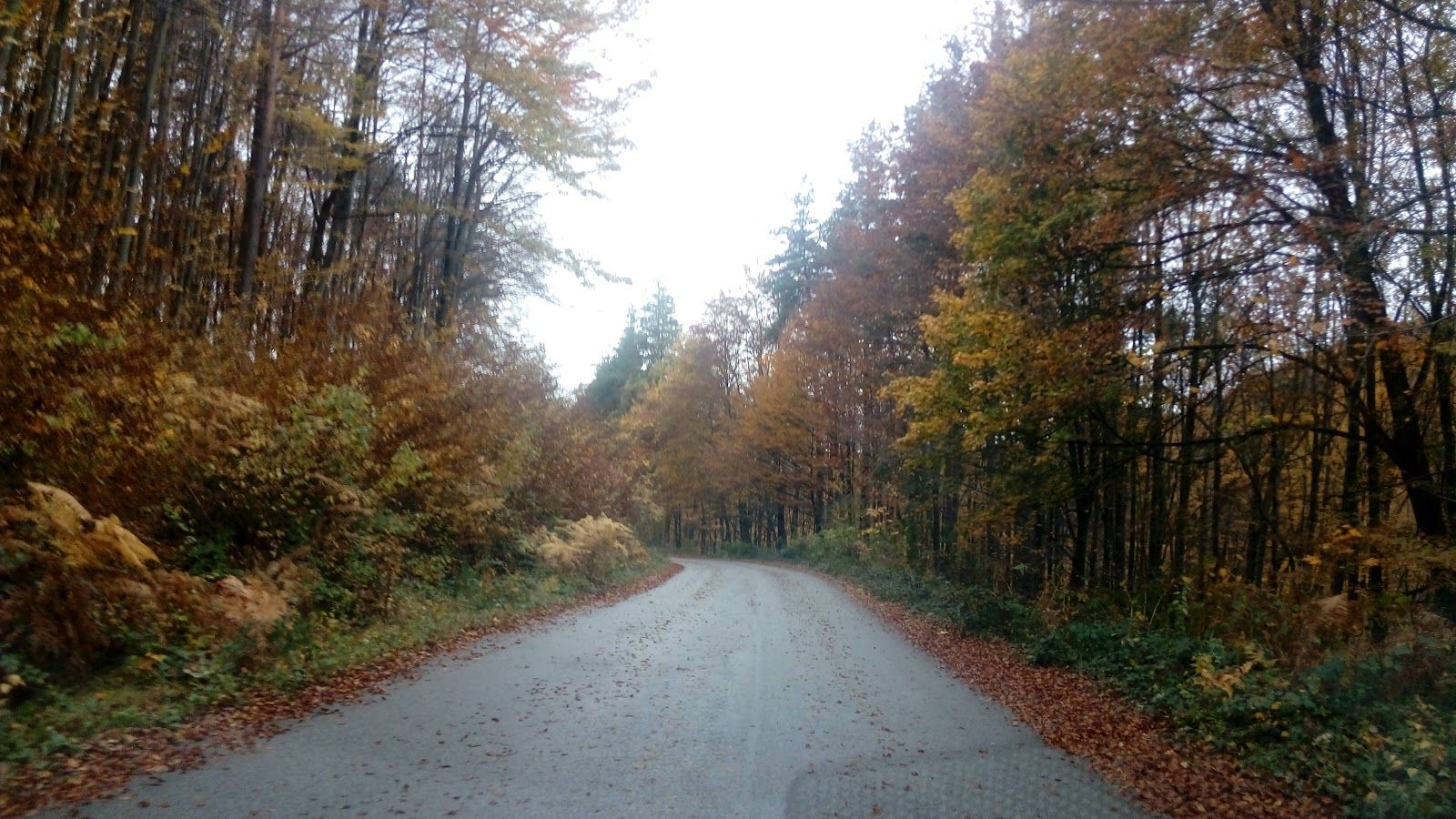 Ribaritsa (Etropole) village