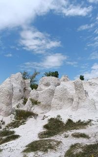 The Stone wedding