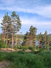 Парк Мала Църква-Бели Искър-Боровец