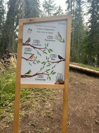 The Family Forest Trail