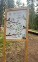 The Family Forest Trail