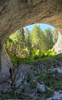 Wonderful Bridges