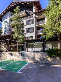 Hotel Lion
