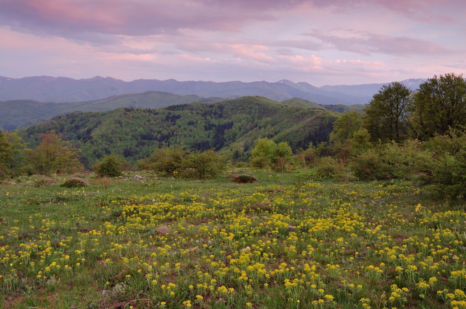 Shipkovo village