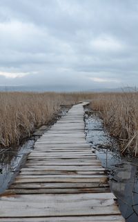 Драгоманско блато