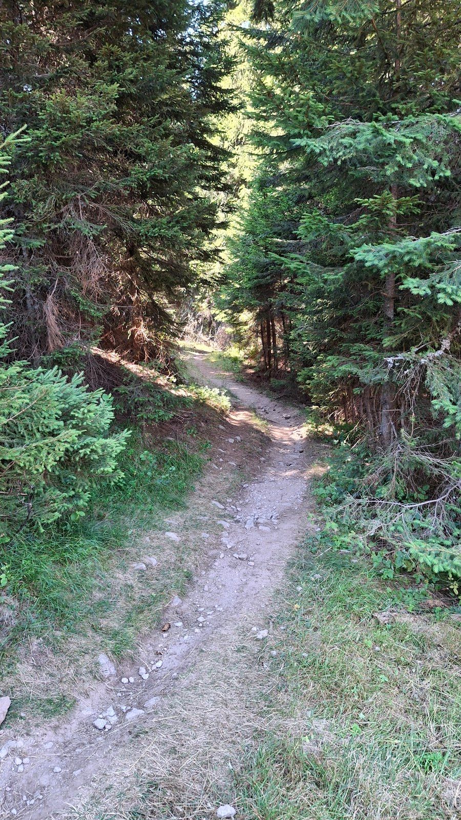 Reservoir–Sokolitza Peak Eco Trail 