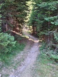 Reservoir–Sokolitza Peak Eco Trail