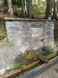 Pamporovo Fountain