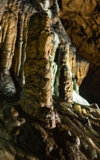 Lepenitsa Cave