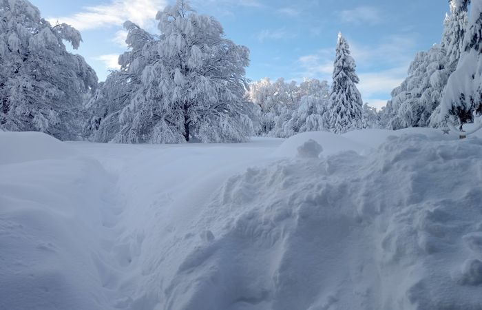 Хижа „Шумнатица“ – снимка 4