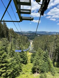 Studenets Gondola