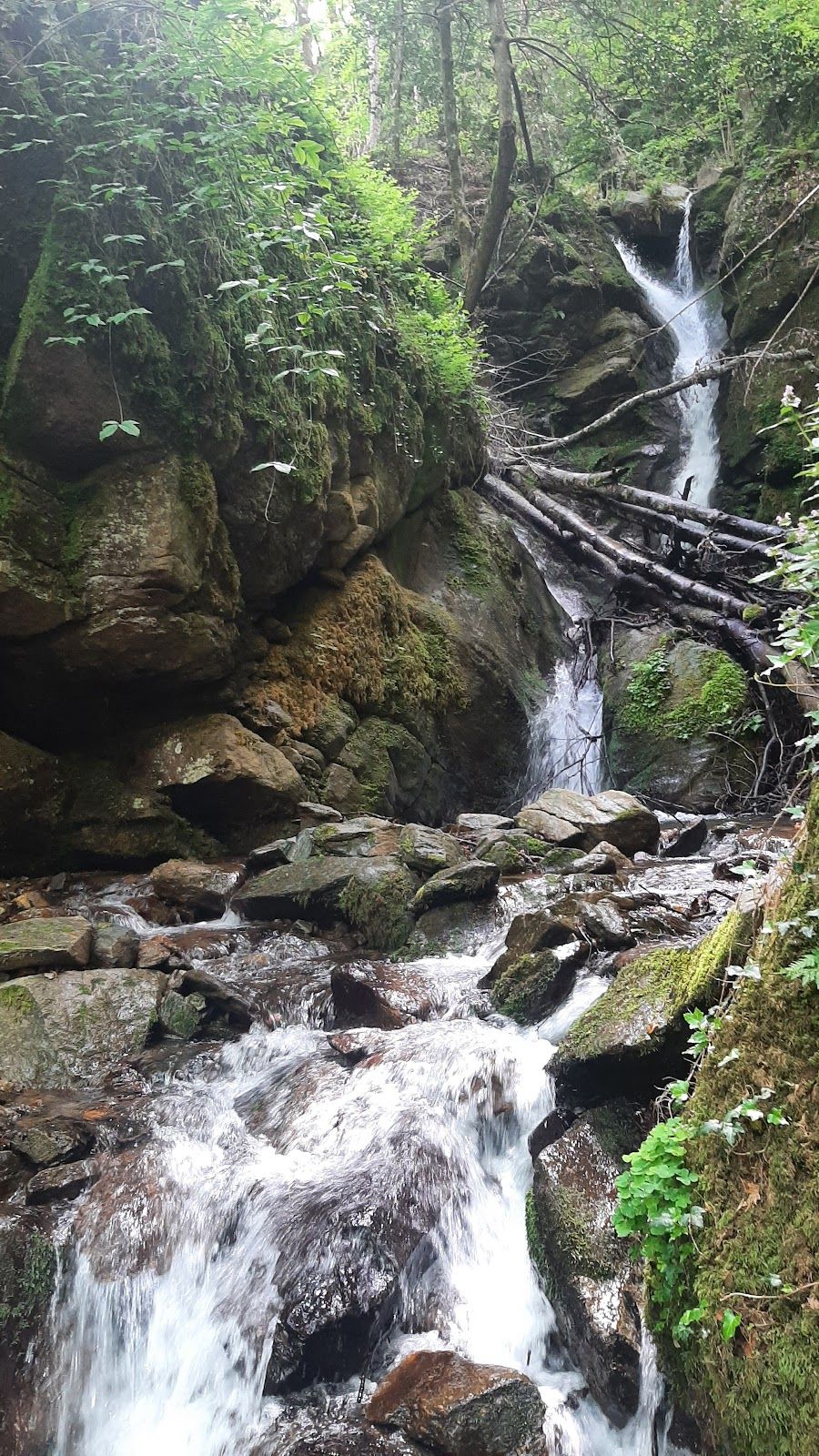 Belasitsa Nature Park