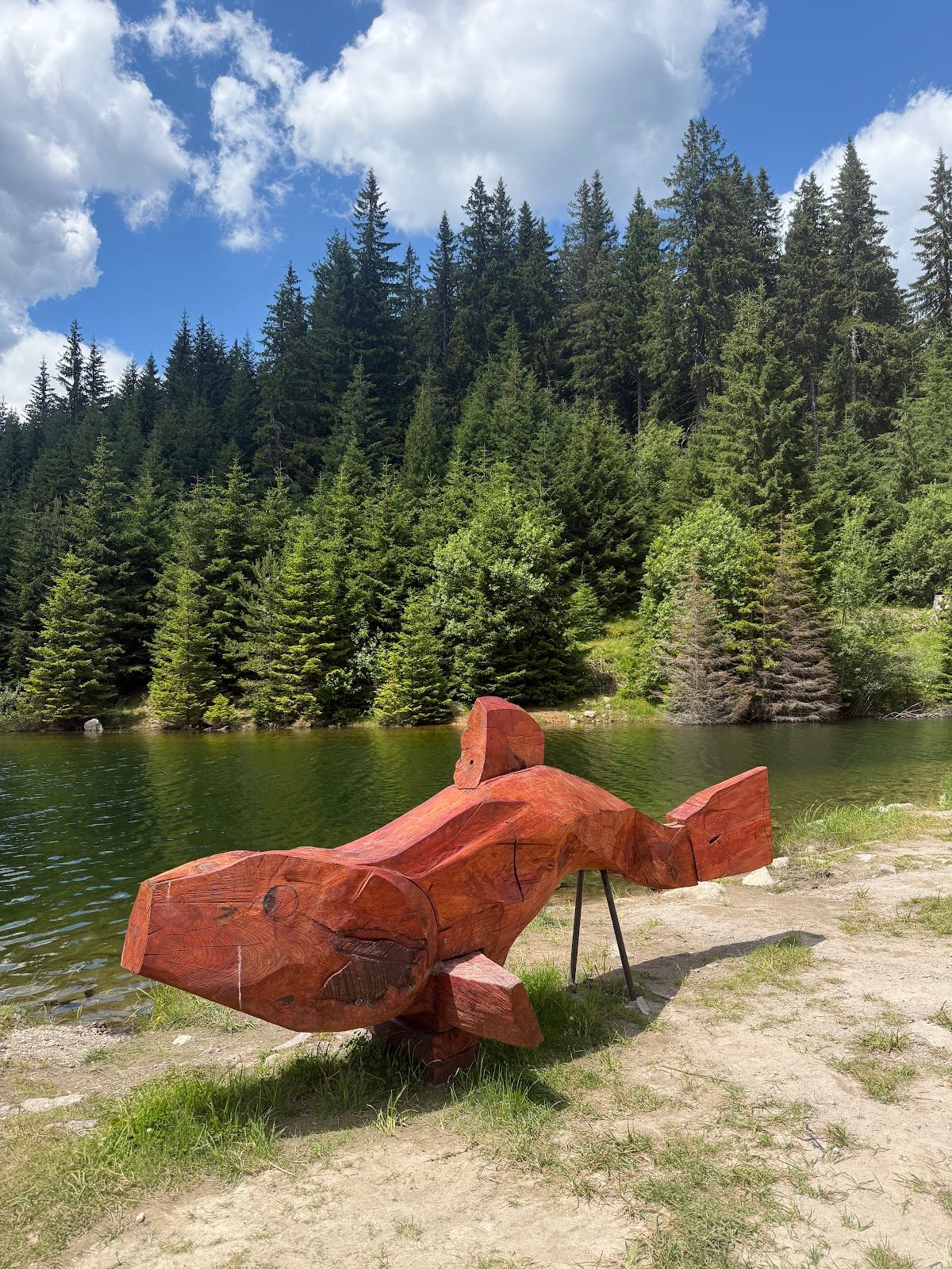 Pamporovo Dam – photo 2