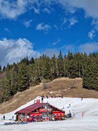 Shoky Ski School - beginner ski slope