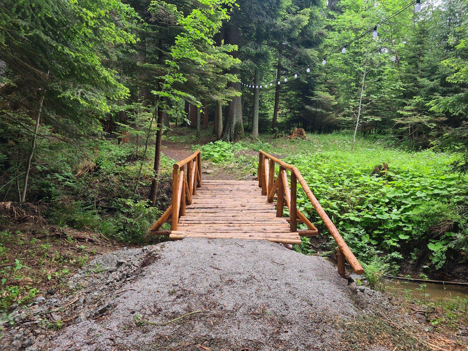 “Pesako” Eco trail