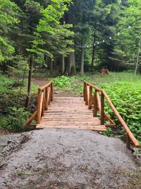 “Pesako” Eco trail