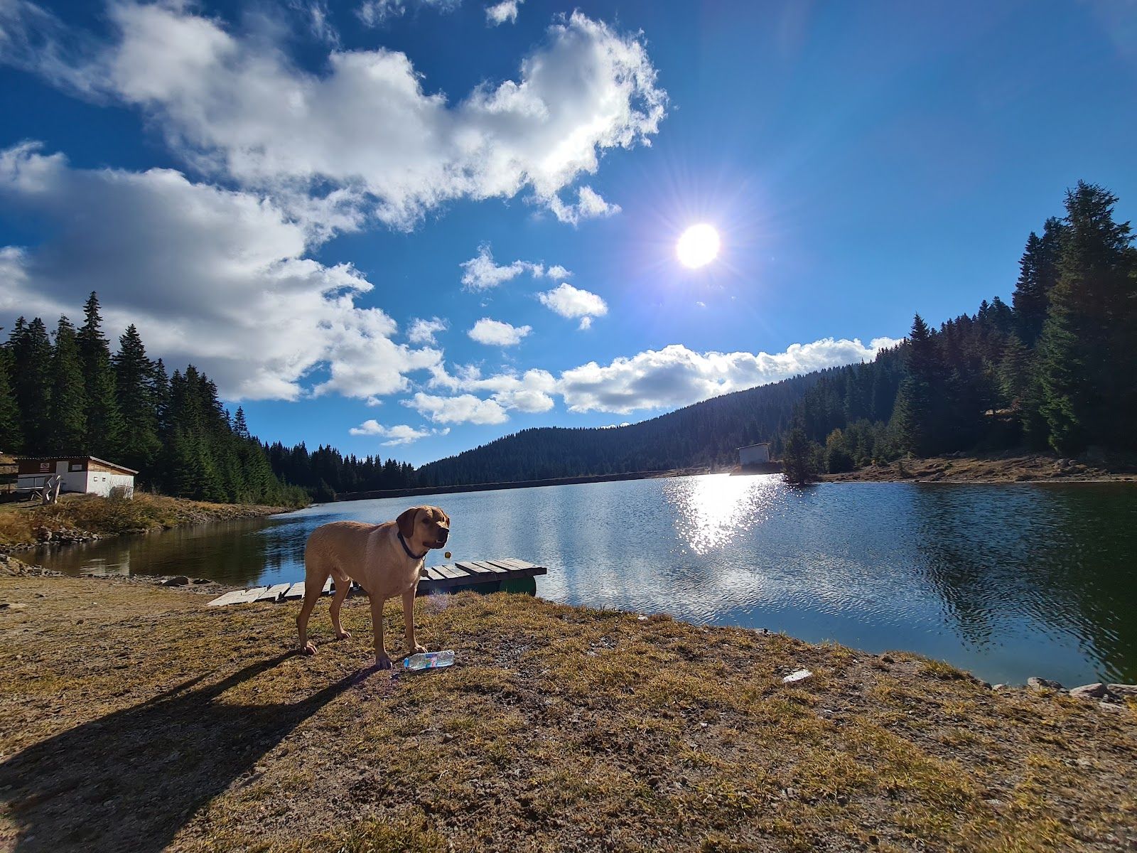 Pamporovo Adventure Park