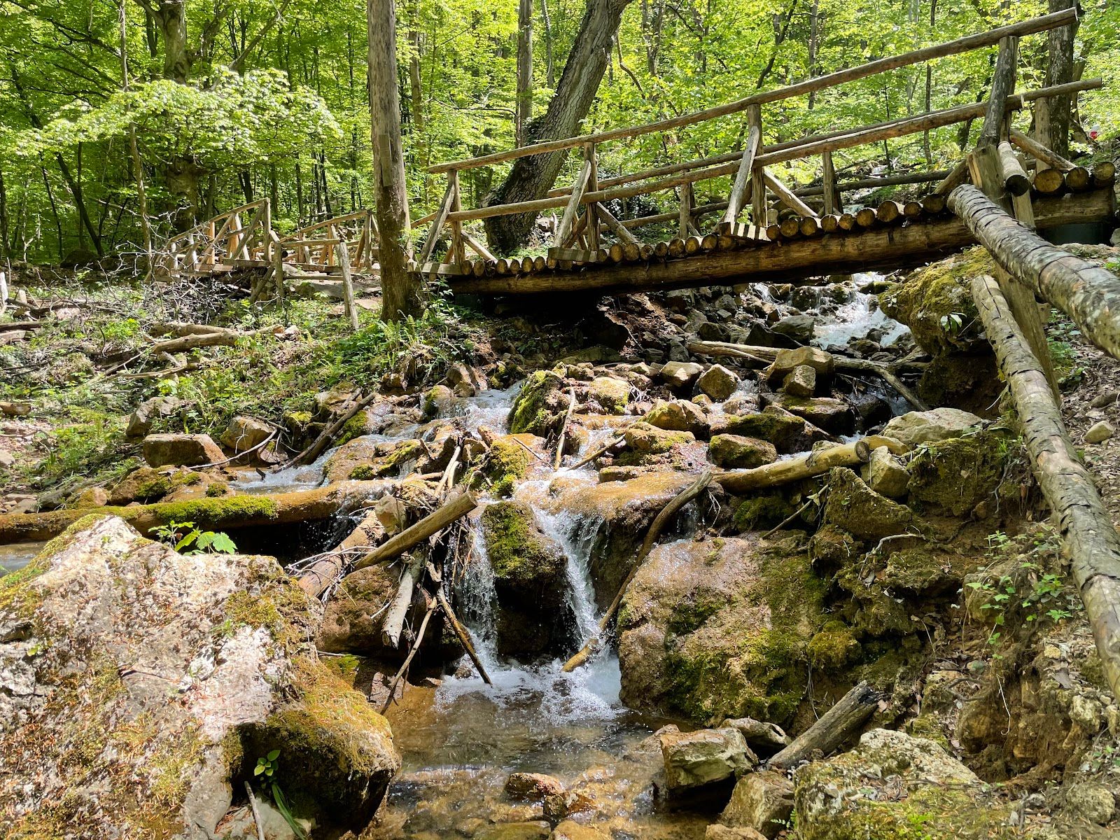 “The Sound of Singing Bells” Eco Trail
