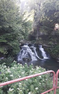 Chiflik village