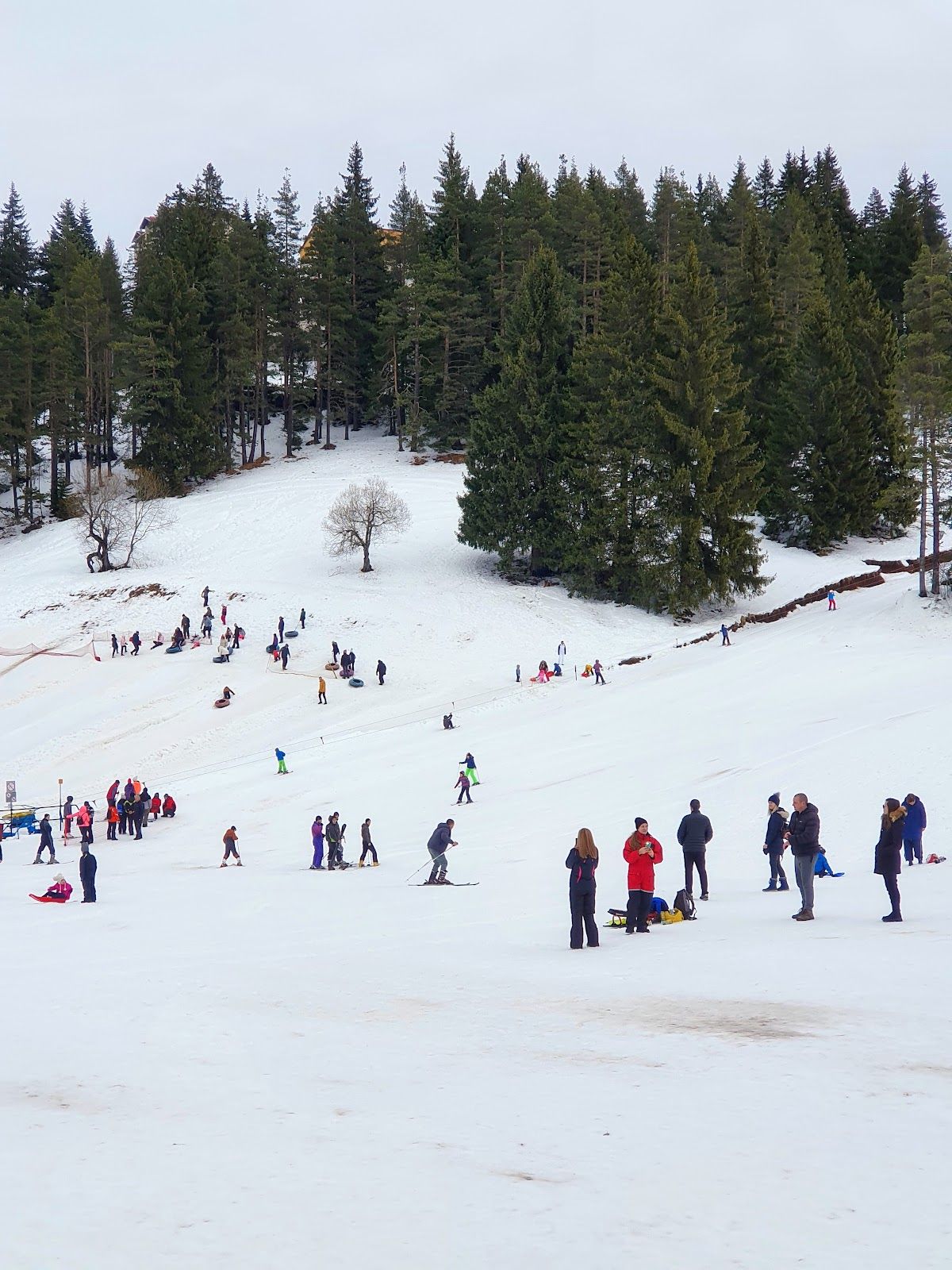 Shoky Ski School - beginner ski slope – photo 4