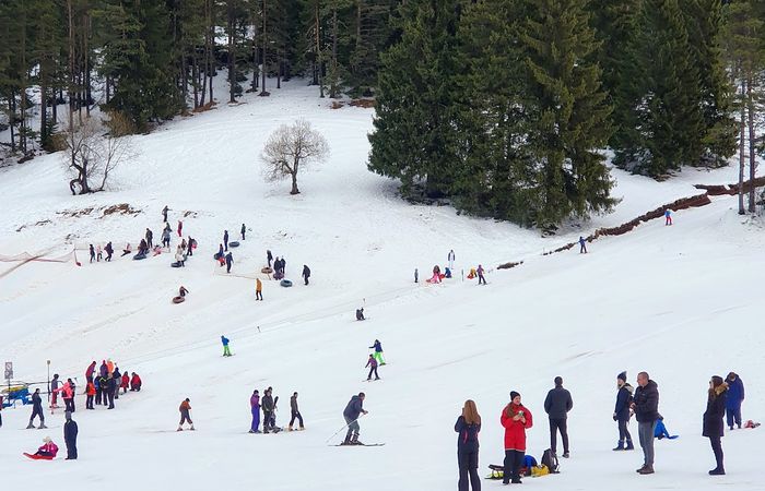 Shoky Ski School - beginner ski slope – photo 4