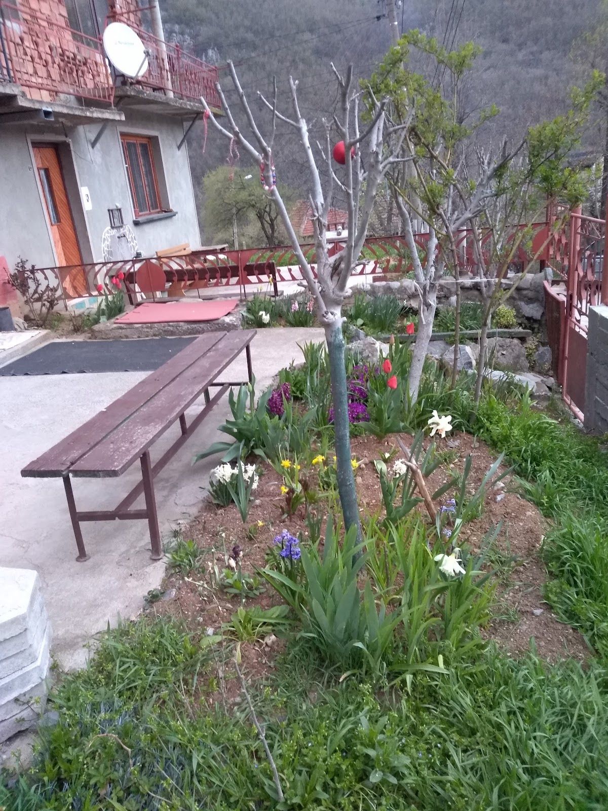 Glogovo village