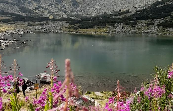 Musala Peak Trailhead – photo 4