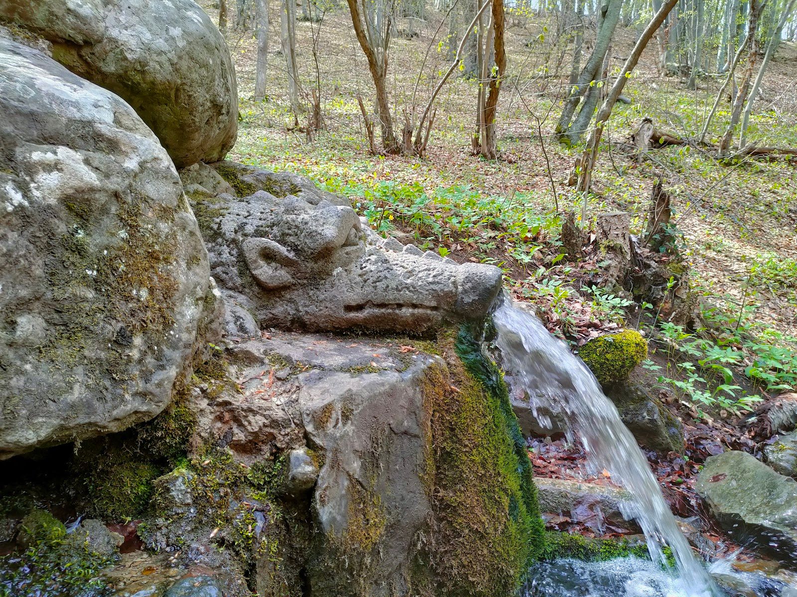 Living Water Spring