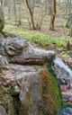 Living Water Spring