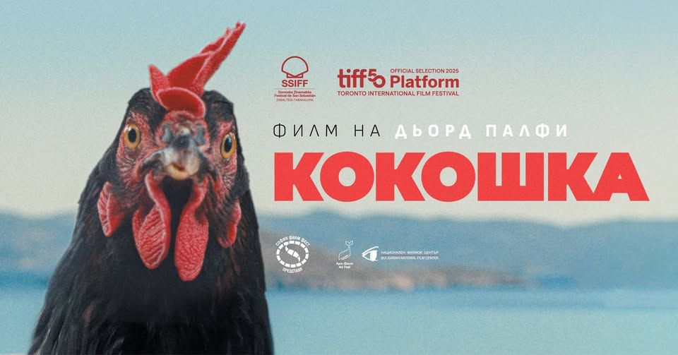 КОКОШКА - в кината!